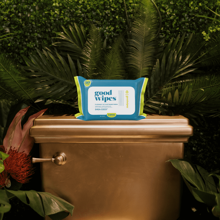 Goodwipes Flushable Butt Wipes, Plant Based, Shea-Coco Scented, 1 Pack, 50 Total XL Wipes