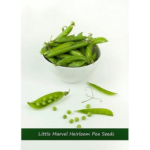 Vegetable Seeds- Little Marvel Shelling Pea- 100 Heirloom-Seeds- Cool Weather Spring or Fall - Use Fresh Frozen-Great in Salads= Serendipity Seeds