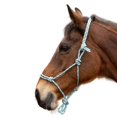 thumbnail image 3 of Hy Rope Halter, 3 of 3