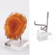thumbnail image 5 of Estante de soporte de exhibición de acrílico duradero Hugo para minerales rocas de cristal de concha coleccionables S multi, 5 of 10