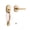 Champagne Bronze-Door Handle-1, variant on Antique Brass Door Handle 1 Pack Entry Lever Set