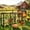 Brown+Black, variant on Large Fir Wood Chicken Coop, Waterproof Anti-UV House with Run & Nesting Box for Outdoor Poultry & Rabbits, Gray