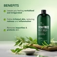 thumbnail image 2 of Gel de baño Botanic Hearth, aceite de árbol de té, 480 ml, 2 of 9