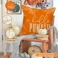 thumbnail image 6 of 16x16 Fall Pillow Covers Set of 4, Hello Pumpkin Decorative Holiday 16 x 16 Autumn Cushion Covers Thanksgiving Pillow Case for Indoor Home Bedroom Couch Sofa Decor Grey, 6 of 6
