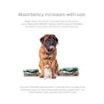 thumbnail image 4 of Pañales lavables para perros Pet Parents Daisy XL (paquete de 3), 4 of 8