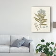 thumbnail image 3 of Trademark Fine Art 'Bashful Blue Florals III' Canvas Art by John Miller, 3 of 4