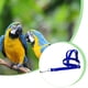 thumbnail image 5 of Billuyoard Cuerda para pájaros de amplia aplicación para varias especies de pájaros - Excursiones al aire libre Arnés para pájaros divertido Aseo de mascotas azul, 5 of 6