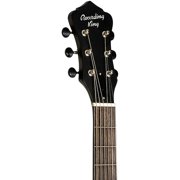 Recording King RM-993 Metal Body Parlor Resonator Guitar Nickel-Plated