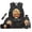 Black Mushroom Capybara, variant on Jeiento Purple Axolotl Kids Backpack Set 5 Piece 17 Inch Soft Backpack with Lunch Bag Pencil Case for 9-12 Years Old Middle School Kawaii School Bags