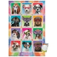 thumbnail image 1 of Keith Kimberlin - Chiots - Lunettes de soleil, 1 of 4