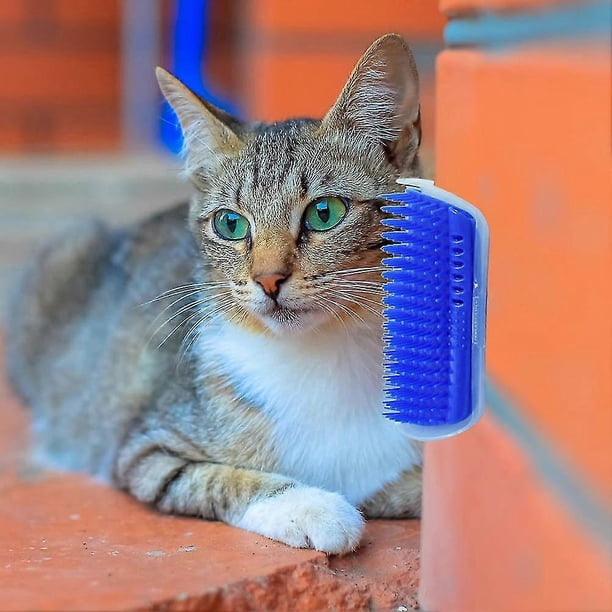 Cepillo de masaje para gatos, peine, esquina de pared, autoafeitadora, suministros para gatitos, juguete duradero