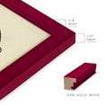 thumbnail image 2 of Sealife Collection III - Framed Print w/glass - Cherry Red, 2 of 7
