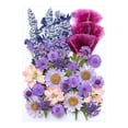 thumbnail image 2 of Birdeem Dried and Embossed Flowers for Resin Kit Candles and Crafts, 2 of 5