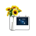 thumbnail image 1 of Aries Constellation Zodiac Sign Artificial Sunflower Vases Bottle Blessing Card, 1 of 3