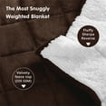 thumbnail image 3 of Teler Weighted Blanket for Adult, Fluffy Thick Warm Sherpa & Cozy Flannel Snuggle Heavy Blanket for Sofa Bed Calming, Queen Size (60"x80",20lbs), 3 of 7