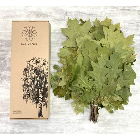 Natural Canadian Oak, Season 2024 - Branches Dry for a Sauna Accessories for Banya 100% Handmade (Made in Europe)