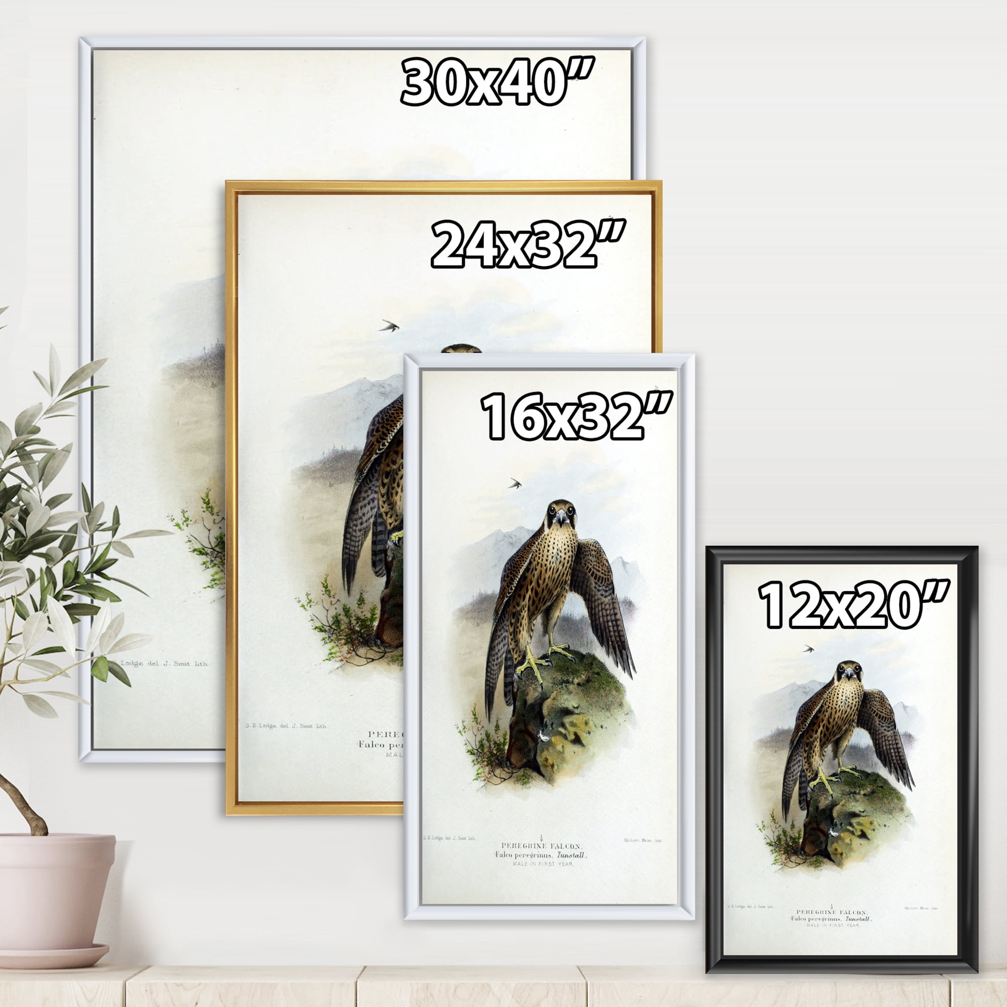 Designart 'Ancient Bird Life VIII' Traditional Framed Canvas Wall Art Print