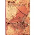 thumbnail image 1 of Pre-Owned Fossils: Evidence of Vanished Worlds (Paperback) 0810928248 9780810928244, 1 of 1