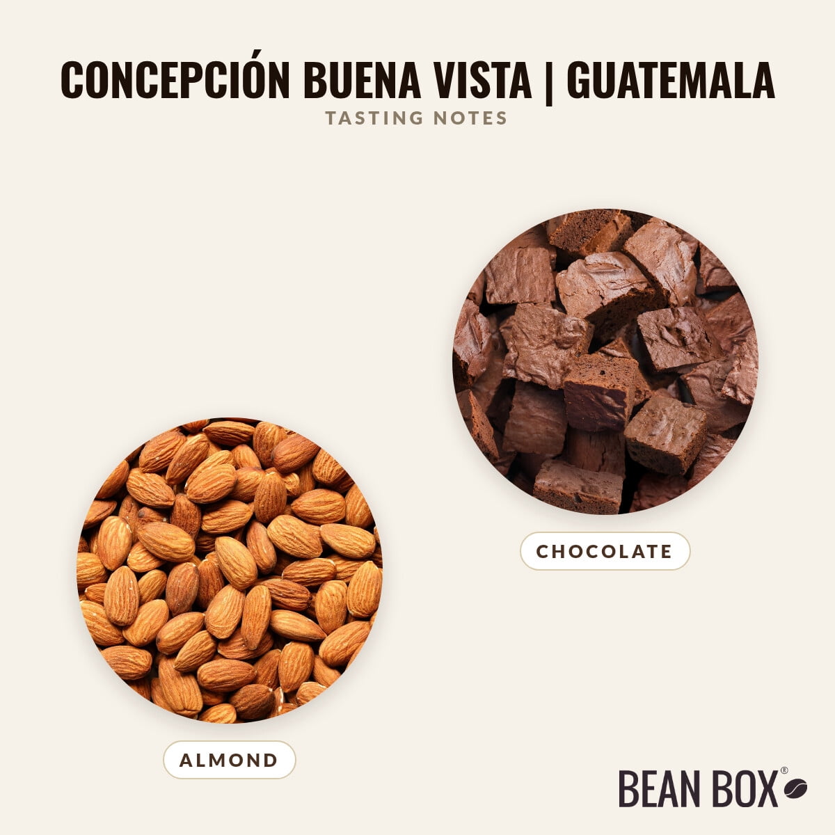 Concepción Buena Vista Guatemala - Roasted by 8th & Roast Coffee Co. - Whole Bean Coffee - 12oz Bag