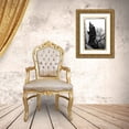 thumbnail image 3 of DeNardo, Laura 18x24 Gold Ornate Wood Framed with Double Matting Museum Art Print Titled - Charles Bridge in Morning Fog IV, 3 of 4
