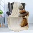 thumbnail image 4 of Rock Soft Flannel Fleece Throw Blanket, Irregularly Shaped Stacked Stones Staying Still in Balance Calming Vibes Meditate, Cozy Plush for Indoor and Outdoor Use, 70" x 90", Multicolor, by Ambesonne, 4 of 5