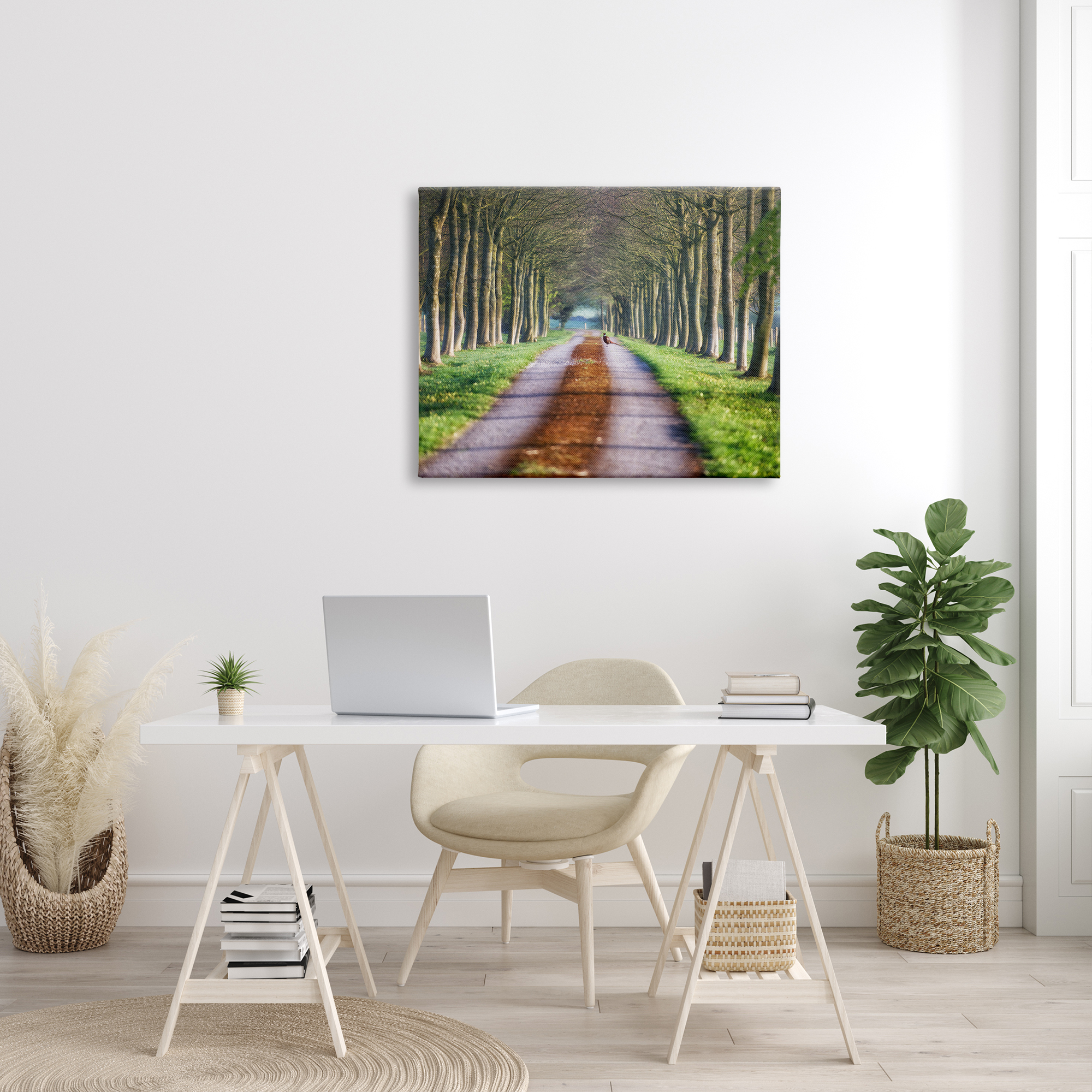 Stupell Industries Aligned Trees Along Orchard Path Nature Tunnel Photograph Gallery Wrapped Canvas Print Wall Art, Design by James Dobson