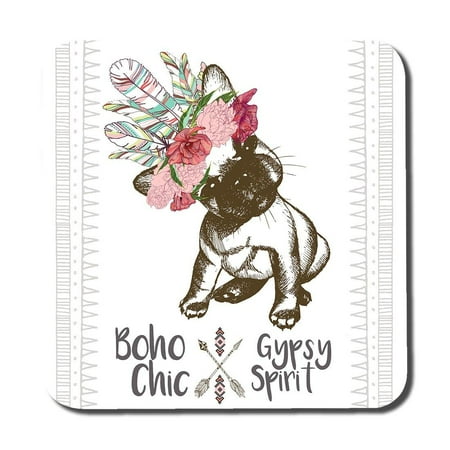 

portrait of french bulldog puppy (Coaster)