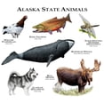 thumbnail image 3 of CafePress - Alaska State Animals Mug - 11 oz Ceramic Mug - Novelty Coffee Tea Cup, 3 of 6