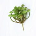 thumbnail image 3 of Zcyifa Artificial Succulent Artificial Succulent Plants Faux Succulent Fake Succulent Picks for Floral Arrangement Home Decoration (Green), 3 of 10