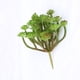 thumbnail image 3 of GOOHOCHY Plantas suculentas artificiales, suculentas falsas, púas para arreglos florales y decoración del hogar (verde), 3 of 8