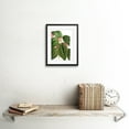 thumbnail image 2 of Flower Spotted Leaves Pink Green Artwork Framed Wall Art Print 9X7 Inch, 2 of 5