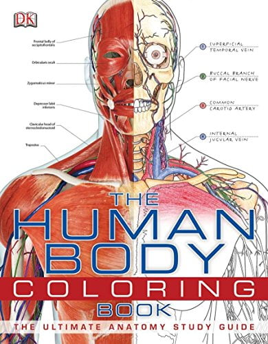 Pre-Owned The Human Body Coloring Book: The Ultimate Anatomy Study Guide (Paperback) 0756682347 9780756682347