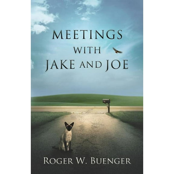 Jake and Joe: Meetings with Jake and Joe (Series #1) (Paperback)