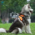 thumbnail image 5 of Deago No Pull Dog Harness Reflective Adjustable Outdoor Pet Collars Harness Easy Control Handle for Small Medium Large Dogs, 5 of 10