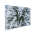 thumbnail image 2 of Trademark Fine Art "Frost at Zero Degrees" Canvas Art by Kurt Shaffer, 2 of 3
