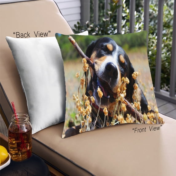 Ahgly Company Dogs Dogs Outdoor Throw Pillow, 18 inch by 18 inch