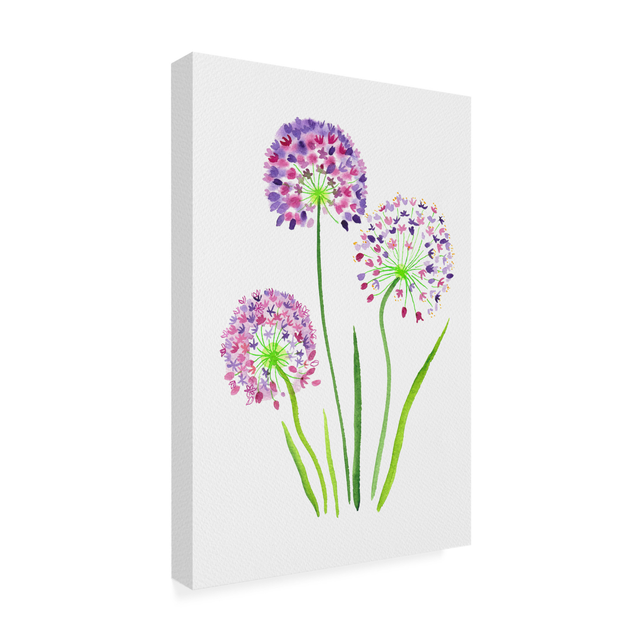 Trademark Fine Art Kata Botanical Giant onion or Allium giganteum Canvas Wall Art
