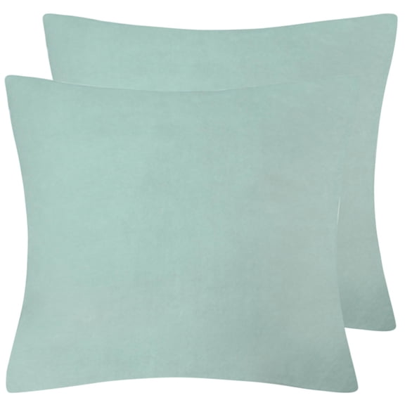 PiccoCasa 2Pcs Rectangle Viscose Velvet Solid Soft Throw Pillowcases, 18" x 18" Spa