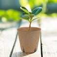 thumbnail image 5 of Round Biodegradable Peat Pots Compatible With Seedlings,100 Pack Plant Starter Pots Kit,perfect Compatible With Vegetables,, 5 of 5