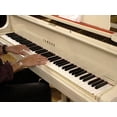 thumbnail image 6 of Learning Piano (DVD), 6 of 6