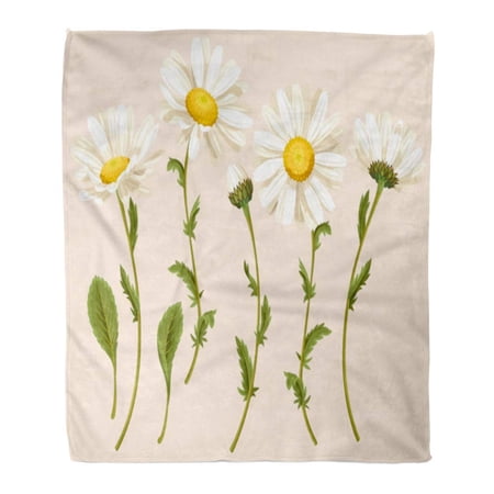 SIDONKU Throw Blanket Warm Cozy Print Flannel Chamomile of Camomiles Botanical Daisy Flower Abstract Beauty Bloom Blossom Comfortable Soft for Bed Sofa and Couch 50x60 Inches