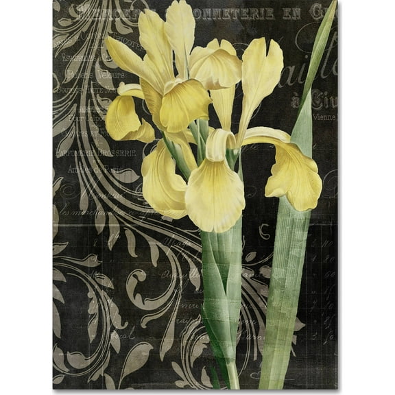 Trademark Fine Art "Ode To Yellow" Canvas Art by Color Bakery