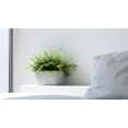 thumbnail image 3 of Ecopots Tokyo 15.75" x 6.5" x 6.5" Oval White Gray Plastic Planter, 3 of 4