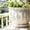 Style B, variant on 6Pcs Crystal Suncatchers Plant Decorations Charms, Hanging Prisms for Window Indoor Garden Plant Pot Holder Hanger Tree Vine Home Chandeliers Outdoors(Style A)