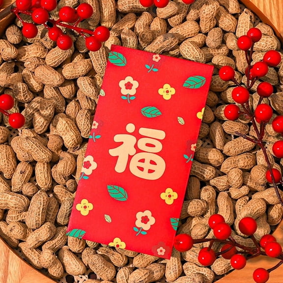 Namzi Red Envelopes Chinese New Year, 12pcs Money Envelopes for Cash Christmas Lucky Money Pocket-C07
