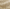 Tan, variant on MidWest Homes for Pets 48inch Gray Wave Pet Bed for Large Dog/Cat with slip resist bottom