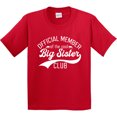 thumbnail image 3 of Inktastic Official Member of the Cool Big Sister Club Youth T-Shirt, 3 of 5