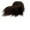 Dark Brown, variant on Shaggy Mohair Faux Fur Fabric Strips Ribbon, Pre Cut Roll, 4" Wide by 60" Long - Dark Brown
