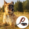 thumbnail image 3 of Collares y correas para perros - Collares y correas para perros, 3 of 5