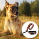 thumbnail image 3 of Collares y correas para perros - Collares y correas para perros, 3 of 5